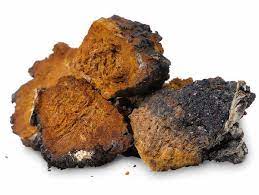 Variation picture for Chaga