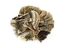 Variation picture for Turkey Tail